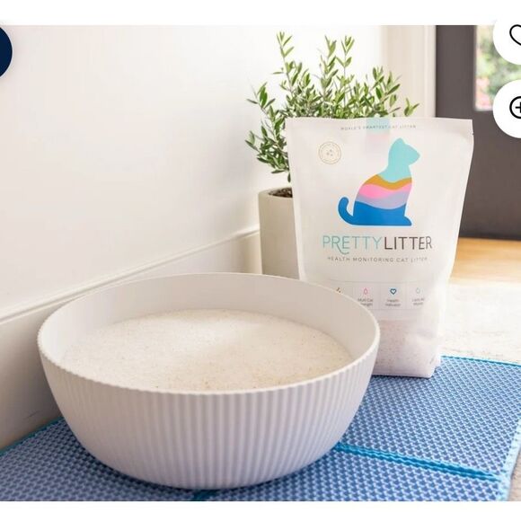 The PrettyLitter Linnea Open Cat Litter Boxminimalist white round bowl bed